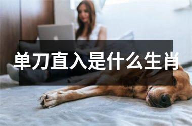 单刀直入是什么生肖