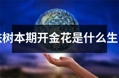 <h3>铁树本期开金花是什么生肖