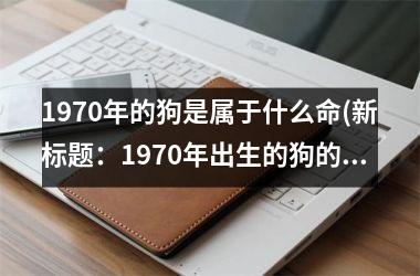 1970年的狗是属于什么命(新标题：1970年出生的狗的命运分析！)