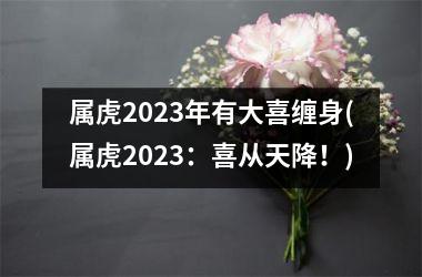 <h3>属虎2025年有大喜缠身(属虎2025：喜从天降！)