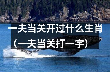 <h3>一夫当关开过什么生肖（一夫当关打一字）