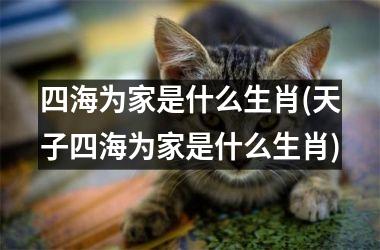 四海为家是什么生肖(天子四海为家是什么生肖)