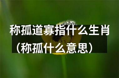 称孤道寡指什么生肖（称孤什么意思）