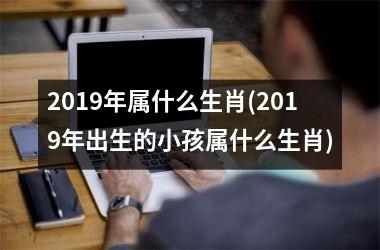2019年属什么生肖(2019年出生的小孩属什么生肖)