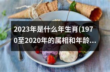 2025年是什么年生肖(1970至2025年的属相和年龄)