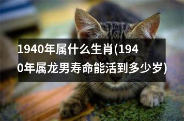 <h3>1940年属什么生肖(1940年属龙男寿命能活到多少岁)