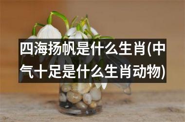 四海扬帆是什么生肖(中气十足是什么生肖动物)