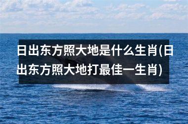 日出东方照大地是什么生肖(日出东方照大地打佳一生肖)