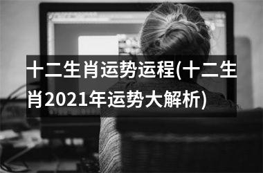 <h3>十二生肖运势运程(十二生肖2025年运势大解析)