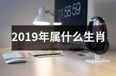 <h3>2019年属什么生肖