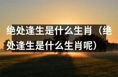<h3>绝处逢生是什么生肖（绝处逢生是什么生肖呢）