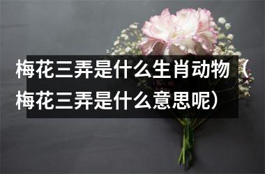 <h3>梅花三弄是什么生肖动物（梅花三弄是什么意思呢）