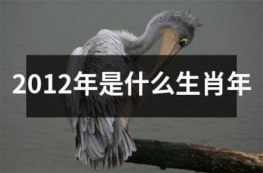 2012年是什么生肖年