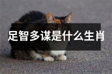 足智多谋是什么生肖