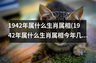 1942年属什么生肖属相(1942年属什么生肖属相今年几岁)