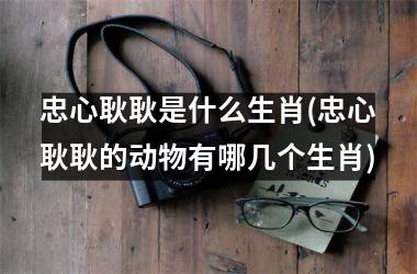 <h3>忠心耿耿是什么生肖(忠心耿耿的动物有哪几个生肖)