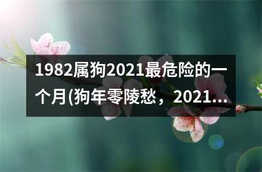 <h3>1982属狗2025危险的一个月(狗年零陵愁，2025年惊蛇五月)