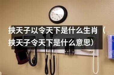 挟天子以令天下是什么生肖（挟天子令天下是什么意思）