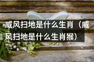 威风扫地是什么生肖（威风扫地是什么生肖猴）