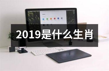 <h3>2019是什么生肖