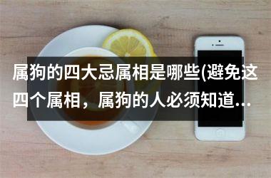 <h3>属狗的四大忌属相是哪些(避免这四个属相，属狗的人必须知道的事项)