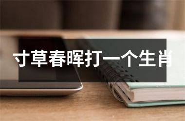 <h3>寸草春晖打一个生肖