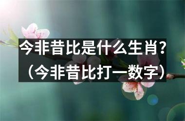 <h3>今非昔比是什么生肖？（今非昔比打一数字）