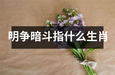 明争暗斗指什么生肖