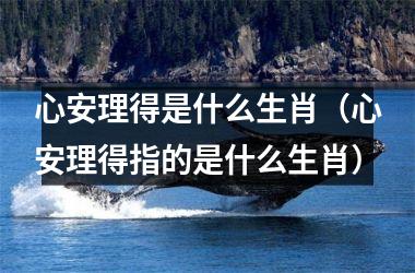 <h3>心安理得是什么生肖（心安理得指的是什么生肖）