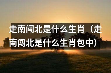 <h3>走南闯北是什么生肖（走南闯北是什么生肖包中）