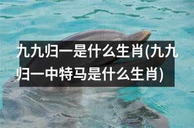 九九归一是什么生肖(九九归一中号码是什么生肖)
