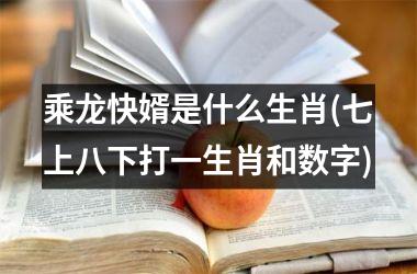 乘龙快婿是什么生肖(七上八下打一生肖和数字)