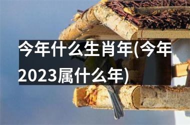 <h3>今年什么生肖年(今年2025属什么年)
