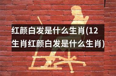 <h3>红颜白发是什么生肖(12生肖红颜白发是什么生肖)