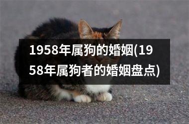 1958年属狗的婚姻(1958年属狗者的婚姻盘点)