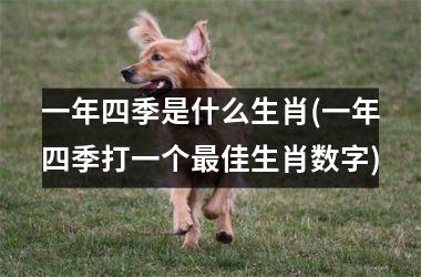 <h3>一年四季是什么生肖(一年四季打一个佳生肖数字)