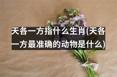 <h3>天各一方指什么生肖(天各一方准确的动物是什么)