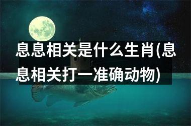 息息相关是什么生肖(息息相关打一准确动物)