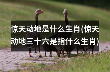 惊天动地是什么生肖(惊天动地三十六是指什么生肖)