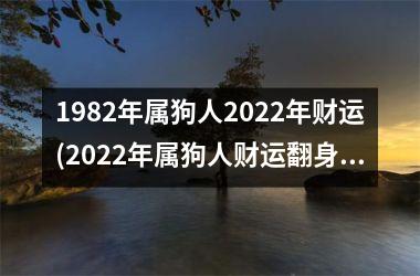 1982年属狗人2025年财运(2025年属狗人财运翻身，好运亨通！)