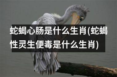 <h3>蛇蝎心肠是什么生肖(蛇蝎性灵生便毒是什么生肖)