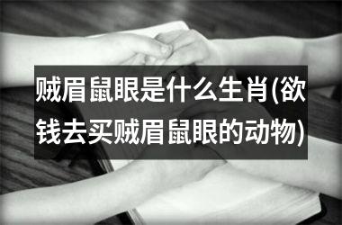 贼眉鼠眼是什么生肖(欲钱去买贼眉鼠眼的动物)