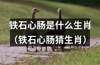 铁石心肠是什么生肖（铁石心肠猜生肖）