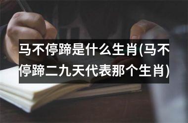 马不停蹄是什么生肖(马不停蹄二九天代表那个生肖)