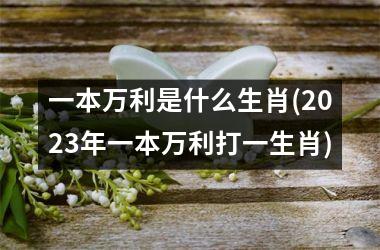 <h3>一本万利是什么生肖(2025年一本万利打一生肖)