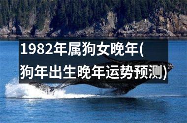 <h3>1982年属狗女晚年(狗年出生晚年运势预测)