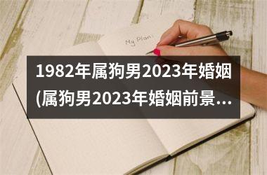 <h3>1982年属狗男2025年婚姻(属狗男2025年婚姻前景分析)