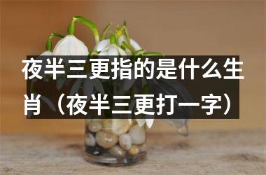 <h3>夜半三更指的是什么生肖（夜半三更打一字）