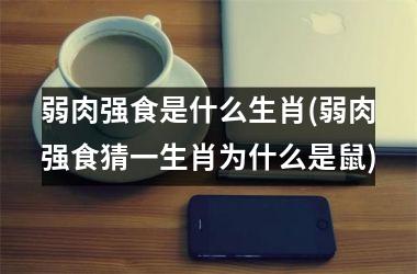 弱肉强食是什么生肖(弱肉强食猜一生肖为什么是鼠)