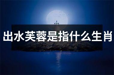 <h3>出水芙蓉是指什么生肖
